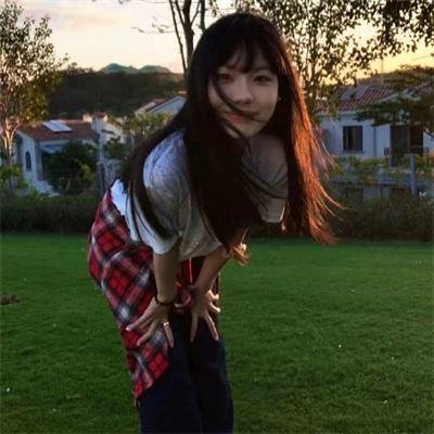 鲨人树儿